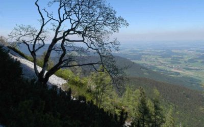 Sperre am Pidinger Klettersteig