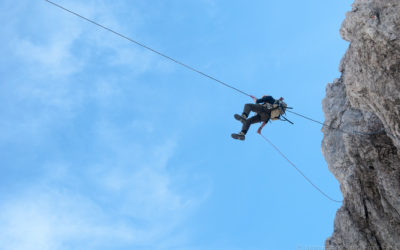 ENTWARNUNG Flying Fox Königsjodler